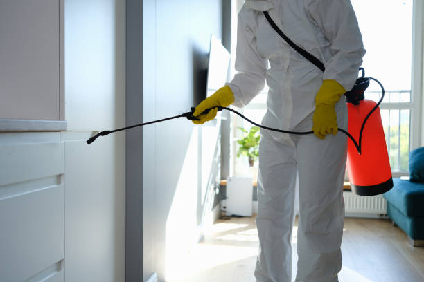 Best Industrial Mold Remediation in Nambe, NM