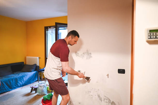 Best Mold Testing and Inspection Services in Nambe, NM